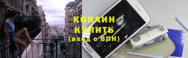 ПСИЛОЦИБИНОВЫЕ ГРИБЫ Ельня