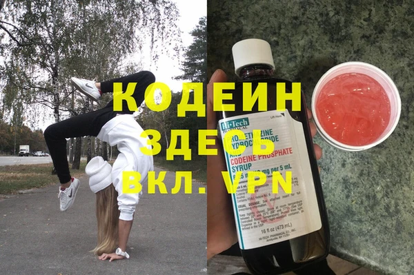 ПСИЛОЦИБИНОВЫЕ ГРИБЫ Ельня