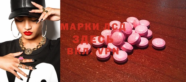 ПСИЛОЦИБИНОВЫЕ ГРИБЫ Ельня