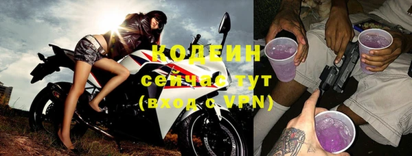ПСИЛОЦИБИНОВЫЕ ГРИБЫ Ельня