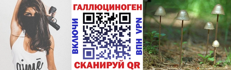 Галлюциногенные грибы прущие грибы  Купить где  Бугульма 